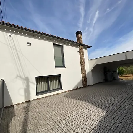 Venetas Trisio